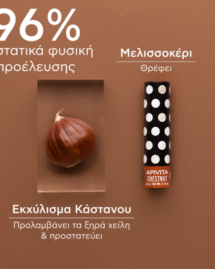 Apivita Lip Care Chestnut 4.4G