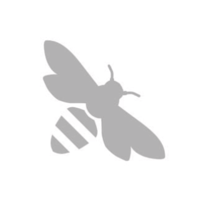 Apivita Mini Kit with Mask Brush