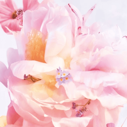 Dior Miss Dior Blooming Bouquet EDT 30ml