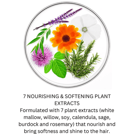 Phyto NOURISHMENT Phyto 7 Moisturising Day Cream 50ml