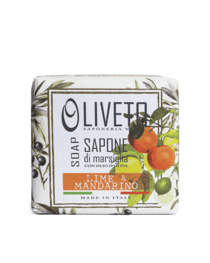 Nesti Dante Oliveto Lime & Mandarino Soap 200g