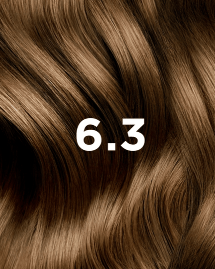 PHYTO COLORING 6.3 DARK GOLDEN BLONDE