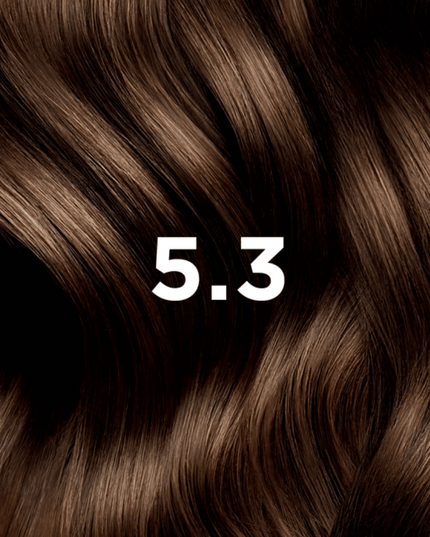 PHYTO HAIR COLOR 5.3 LIGHT GOLDEN BROWN