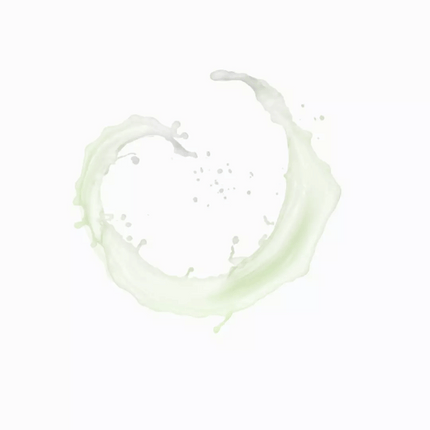 Payot Pâte Grise Mattifying Bi-Phase Powder Lotion 125ml