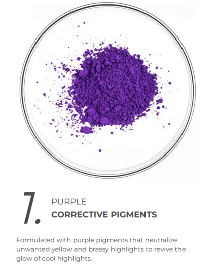 Phyto Purple Routine Bundle