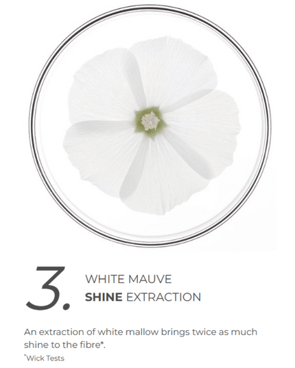 Phyto Purple Routine Bundle