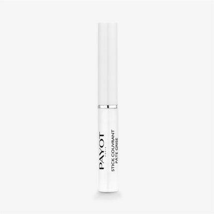 Payot Pate Grise Purifying Concealer Stick 1.6Gm